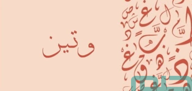 تفسير حلم رؤية اسم وتين في المنام وعلاقته بالعلاقة العاطفية 1 تفسير اسم وتين في المنام