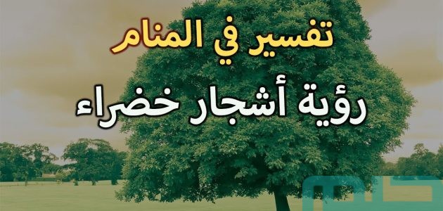 تفسير حلم رؤية الأشجار الخضراء في المنام وعلاقته بالحياة المستقرة 1 تفسير الأشجار الخضراء في المنام
