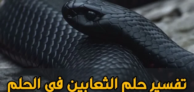 تفسير حلم رؤية الثعبان للمتزوجة في المنام وعلاقته بالتحديات 1 تفسير حلم الثعبان للمتزوجة