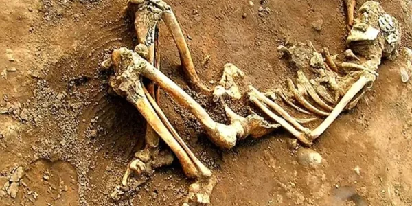 تفسير حلم رؤية عظام الأنسان والحيوان فى المنام وعلاقتها بالأمنيات 1 تفسير حلم رؤية عظام الأنسان