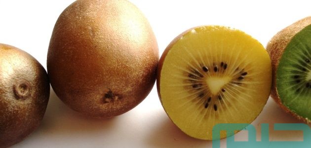تفسير رؤية أكل وشراء الكيوي في المنام ودلالاته وبشرياته 1 تفسير رؤية أكل وشراء الكيوي