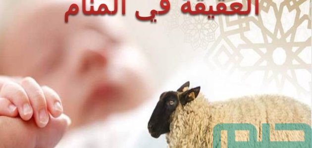 تفسير حلم رؤية العقيقة في المنام للحامل وعلاقته بقدوم الخير 1 تفسير رؤية العقيقة في المنام