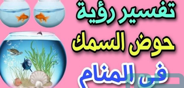 تفسير حلم رؤية حوض السمك في المنام وعلاقتها بالتخلص من الضيق 1 تفسير رؤية حوض السمك