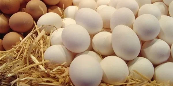 تفسير حلم رؤية إعطاء البيض في المنام وعلاقته بفرصة العمل الجديدة 1 ما تفسير إعطاء البيض في المنام؟