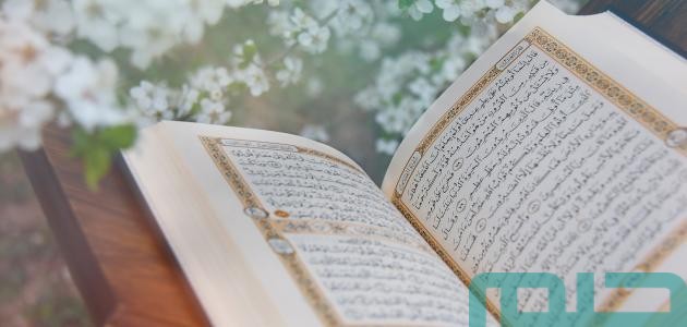 تفسير حلم رؤية إعطاء الميت قرآن للحي في المنام وعلاقته بزوال الهموم 1 ما تفسير إعطاء الميت قرآن للحي؟