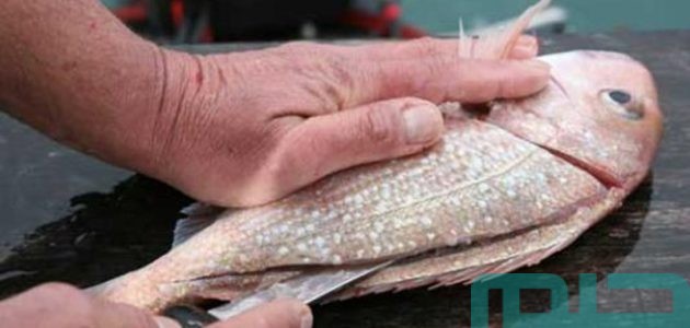 تفسير حلم رؤية الميت ينظف السمك في المنام وعلاقته بتحقيق الأمنيات 1 ما تفسير حلم الميت ينظف السمك؟