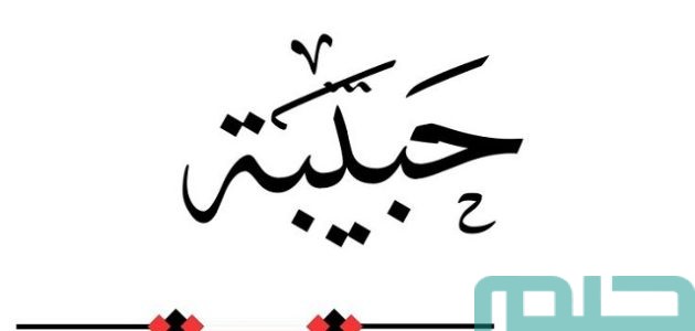 تفسير حلم رؤية اسم حبيبة في المنام وعلاقته بالنجاح 1 ما تفسير رؤية اسم حبيبة للعزباء؟