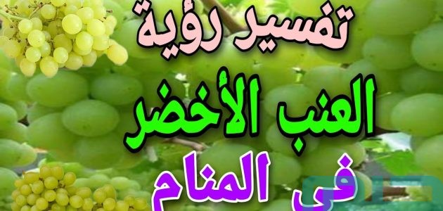 بشريات تفسير حلم رؤية العنب الأخضر في المنام 1 تفسير حلم العنب الأخضر