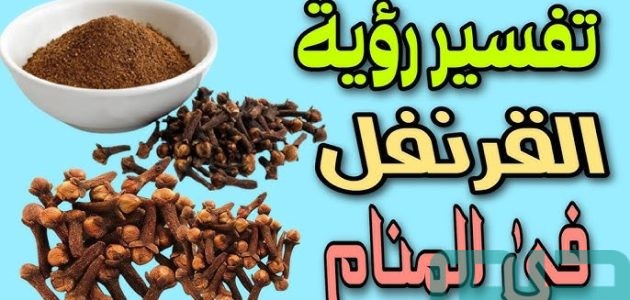 تفسير حلم رؤية القرنفل في المنام وعلاقتها بالقرارات الصائبة 1 تفسير حلم القرنفل في المنام