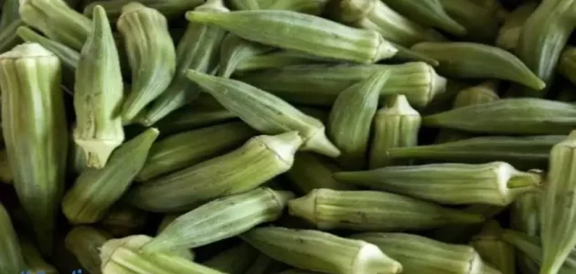 دلالات تفسير حلم رؤية البامية الخضراء في الحلم 1 تفسير حلم رؤية البامية الخضراء في الحلم