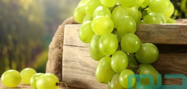 دلالات تفسير حلم رؤية العنب في المنام 1 تفسير حلم رؤية العنب في المنام