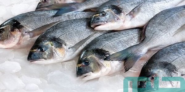 بشريات تفسير حلم رؤية بيع الأسماك في المنام 1 تفسير حلم رؤية بيع الأسماك