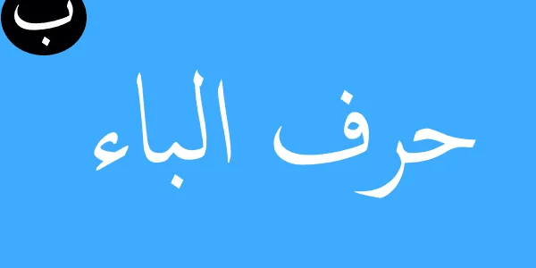 تفسير حلم رؤية حرف الباء ب في المنام وعلاقته بالاستقرار 1 تفسير حلم رؤية حرف الباء