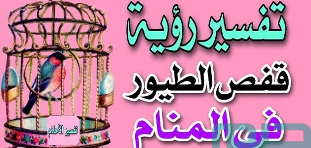 دلالات تفسير حلم رؤية قفص الطير في المنام 1 تفسير حلم رؤية قفص الطير