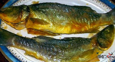 تفسير رؤية الفسيخ في المنام