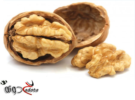 ما تفسير حلم عين الجمل في المنام