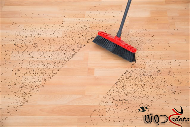 ما معنى رؤية الكنس في المنام