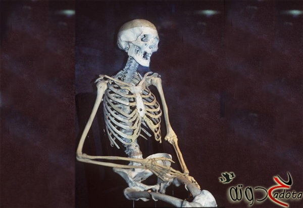 تفسير رؤية الهيكل العظمي في المنام