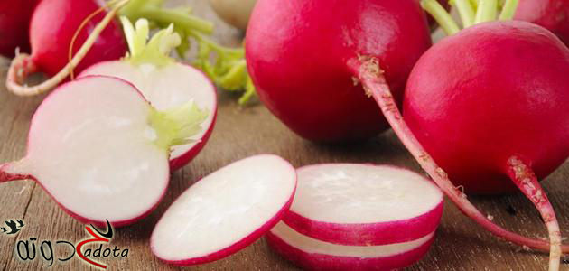 تفسير رؤية الفجل في المنام لابن سيرين