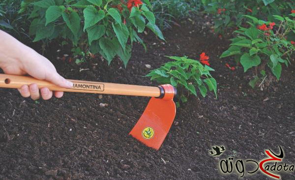 تفسير حلم الفأس في المنام