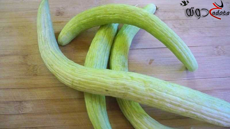 ما هو تفسير رؤية الفقوس في المنام