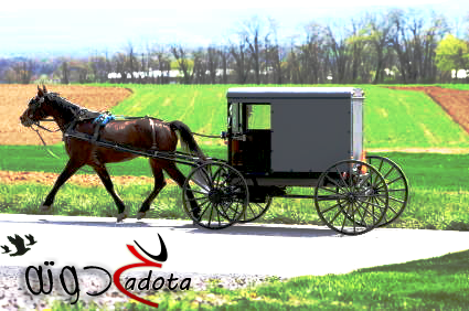 ما تفسير رؤية ركوب الحنطور في المنام