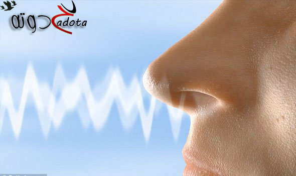 ما تفسير رؤية الشم في المنام