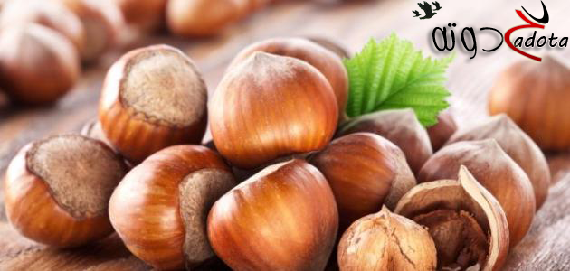 ما هو تفسير رؤية البندق في المنام