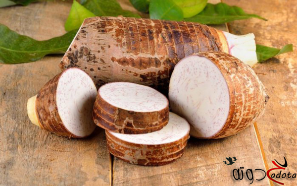 تفسير رؤية القلقاس في المنام لابن سيرين