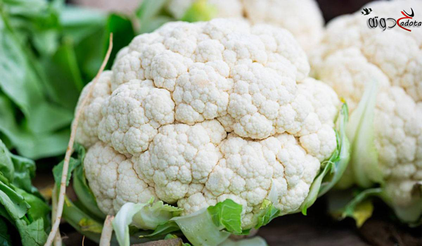 ما هو تفسير رؤية القرنبيط في المنام