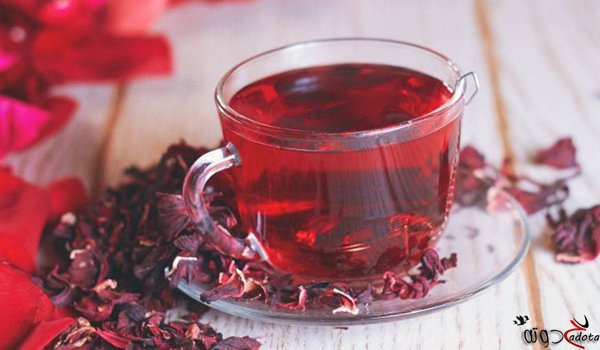 ما تفسير رؤية الكركدية في المنام