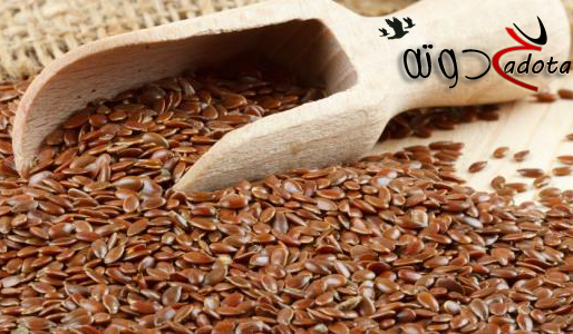 ما هو تفسير حلم بذور الكتان في النمام