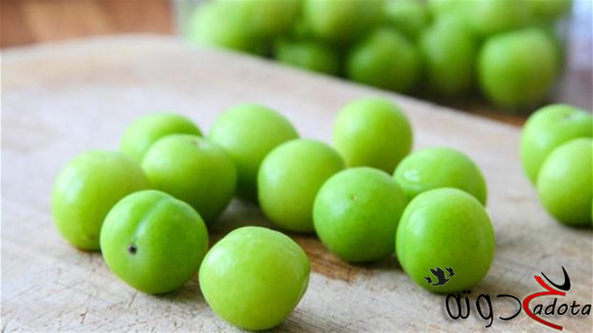 ما تفسير رؤية الجانرك في المنام