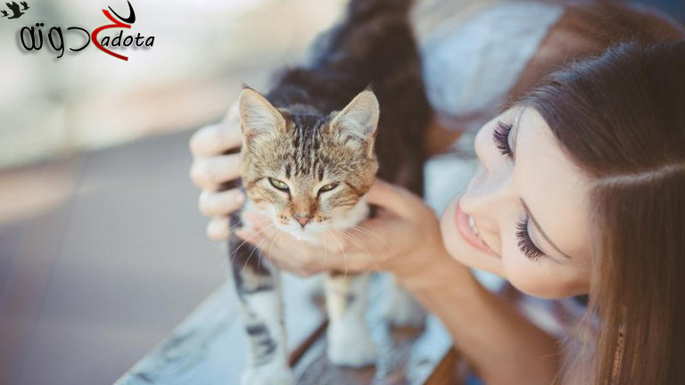 ما معنى سماع صوت القطط في الحلم؟