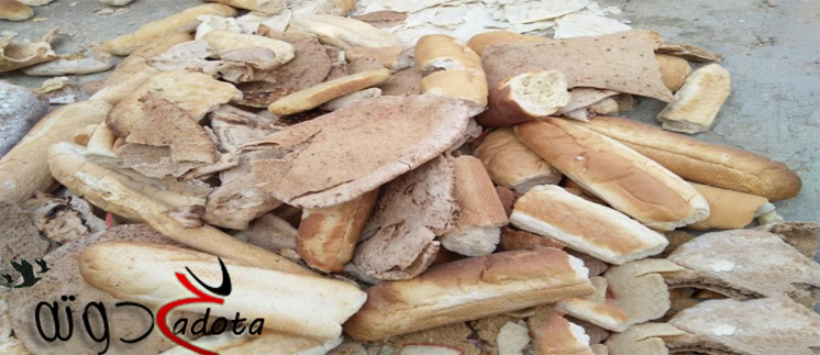 تفسير رؤية الخبز الناشف في المنام