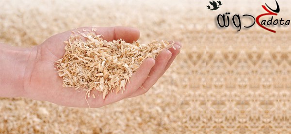 تفسير رؤية نشارة الخشب في المنام