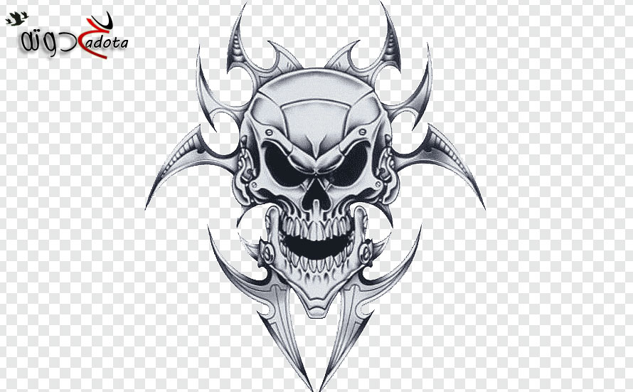 تفسير رؤية الجمجمة في المنام