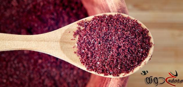 تفسير حلم رؤية السماق في المنام