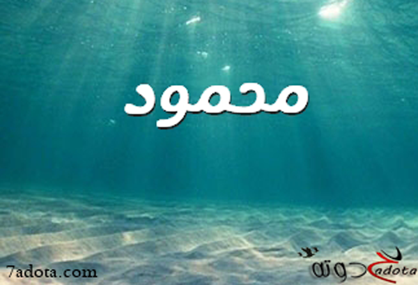 تفسير اسم محمود في المنام