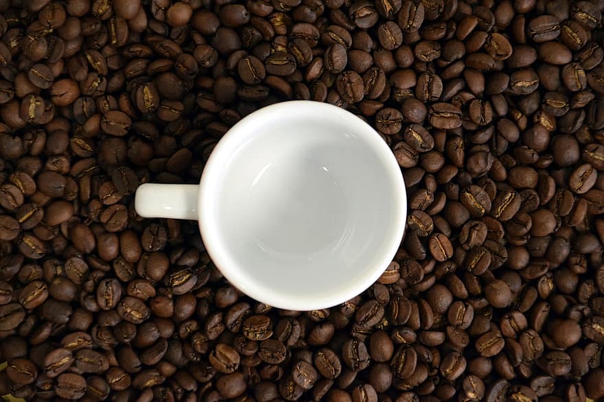 ما هو تفسير حلم فنجان قهوة فارغ