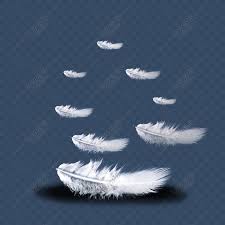 ما تفيسر رؤية نتف الريش في الحلم