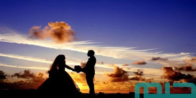 تفسير العرس في المنام