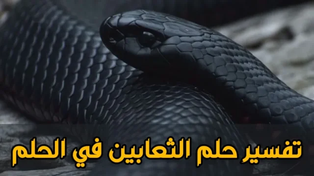 تفسير حلم الثعبان للمتزوجة