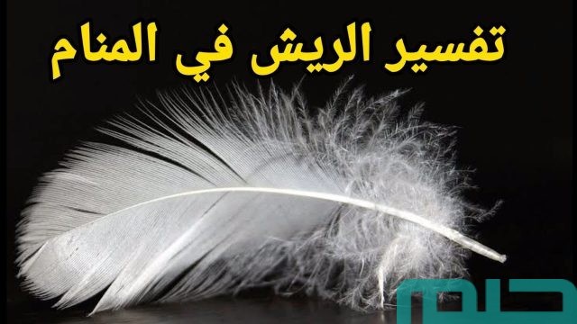 تفسير رؤية الريش الأبيض