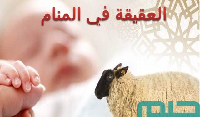 تفسير رؤية العقيقة في