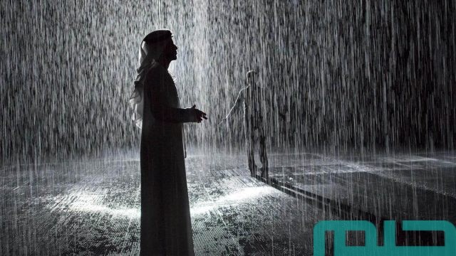 تفسير رؤية المطر في