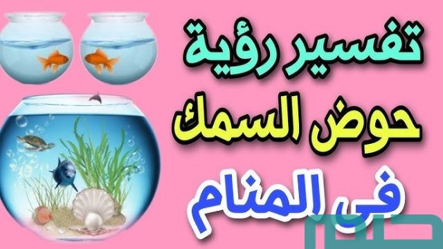 تفسير رؤية حوض السمك