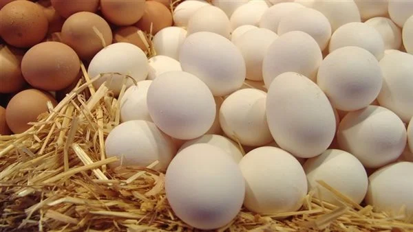 ما تفسير إعطاء البيض