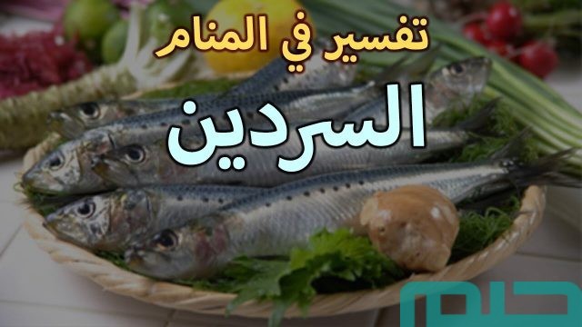 ما تفسير حلم رؤية
