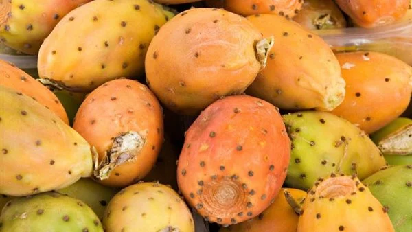 تفسير حلم رؤية التين